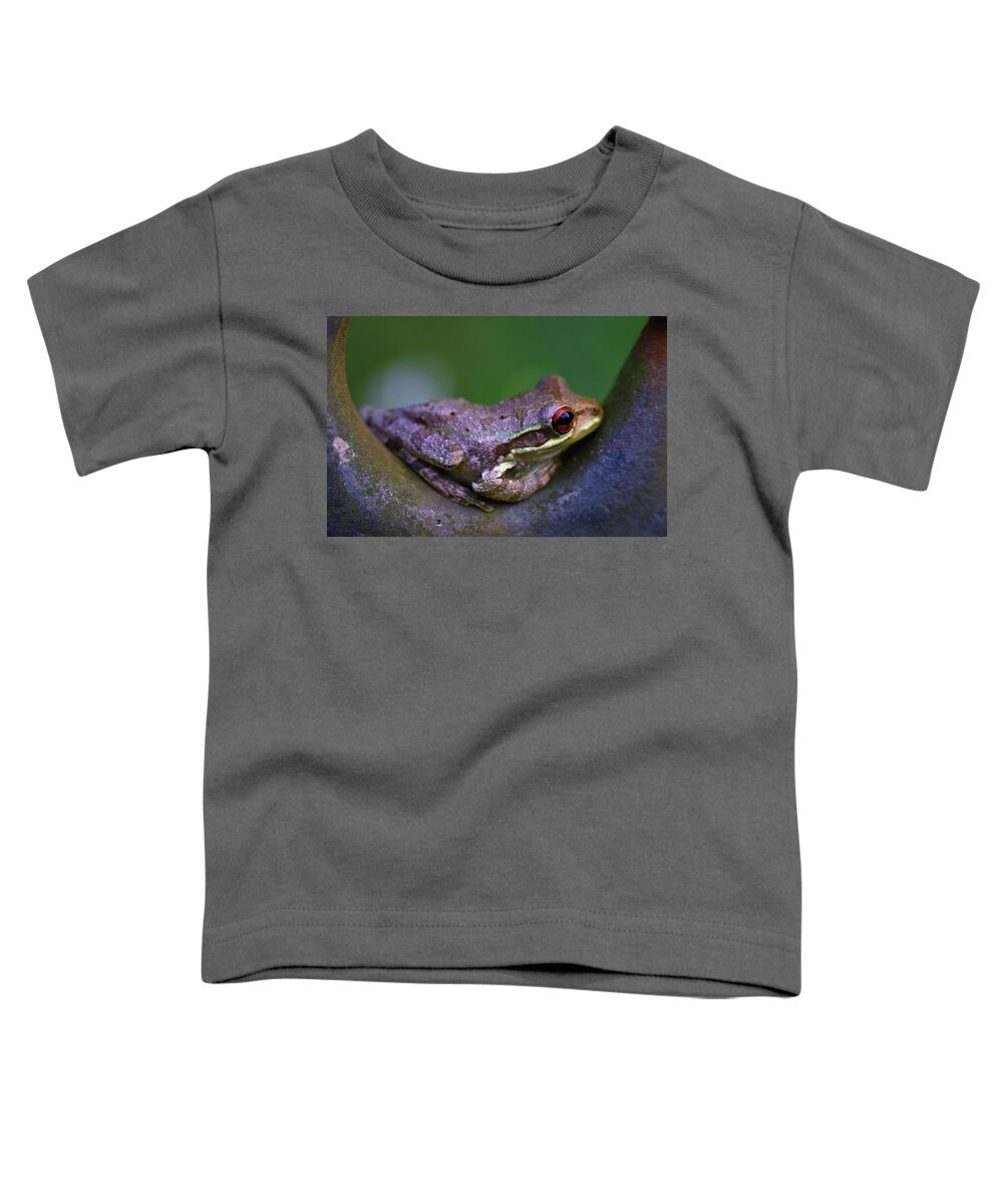 Photograph Toddler T-Shirt featuring the photograph Frog #4 by Larah McElroy