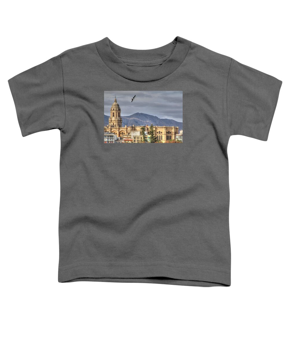 Malaga Toddler T-Shirt featuring the photograph Malaga, SPAIN #4 by Paul James Bannerman