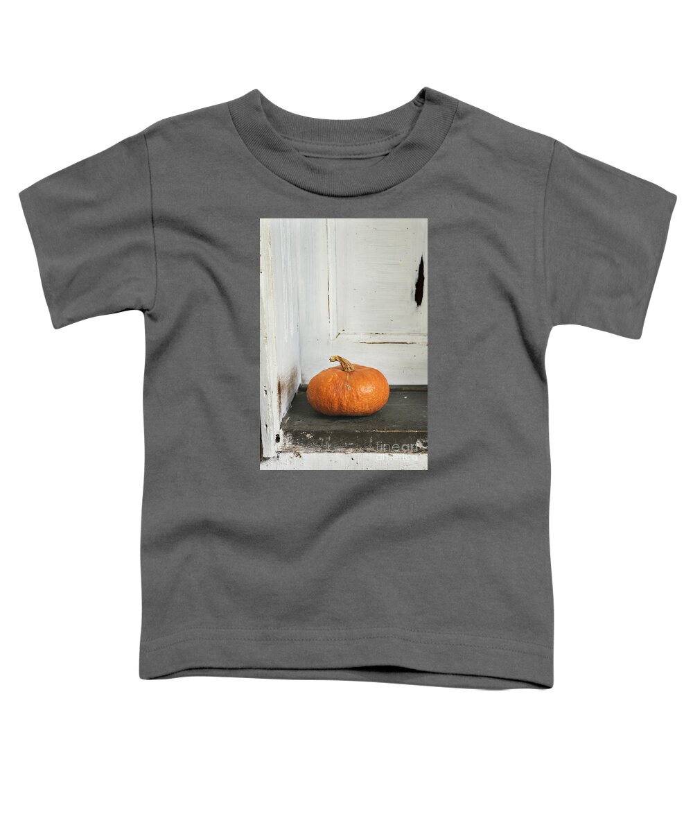 Pumpkin Toddler T-Shirt featuring the photograph Pumpkin #4 by Jelena Jovanovic