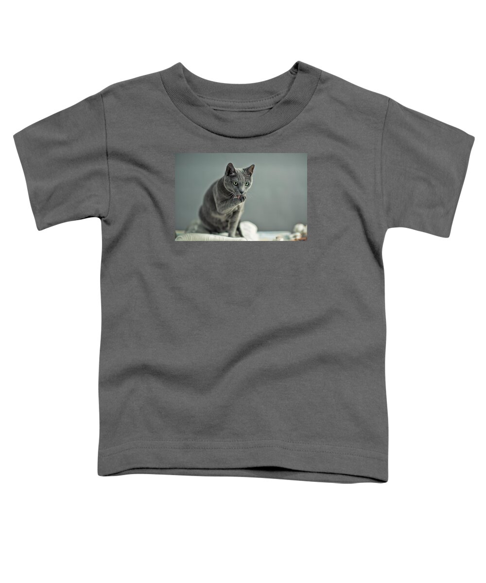 Catlick Toddler T-Shirt featuring the photograph Russian Blue #4 by Nailia Schwarz