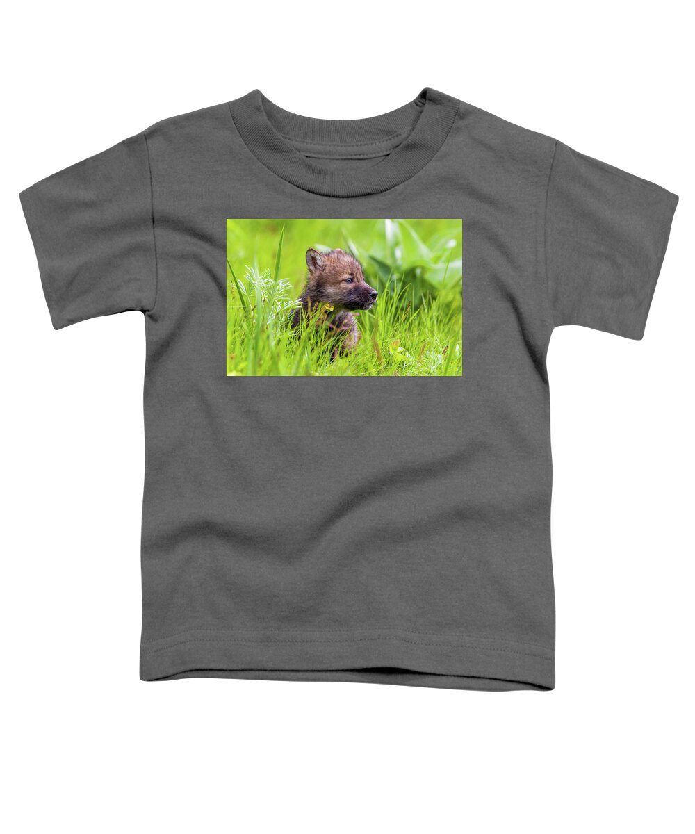 Pups Toddler T-Shirt featuring the photograph Wolf #4 by Mike Centioli