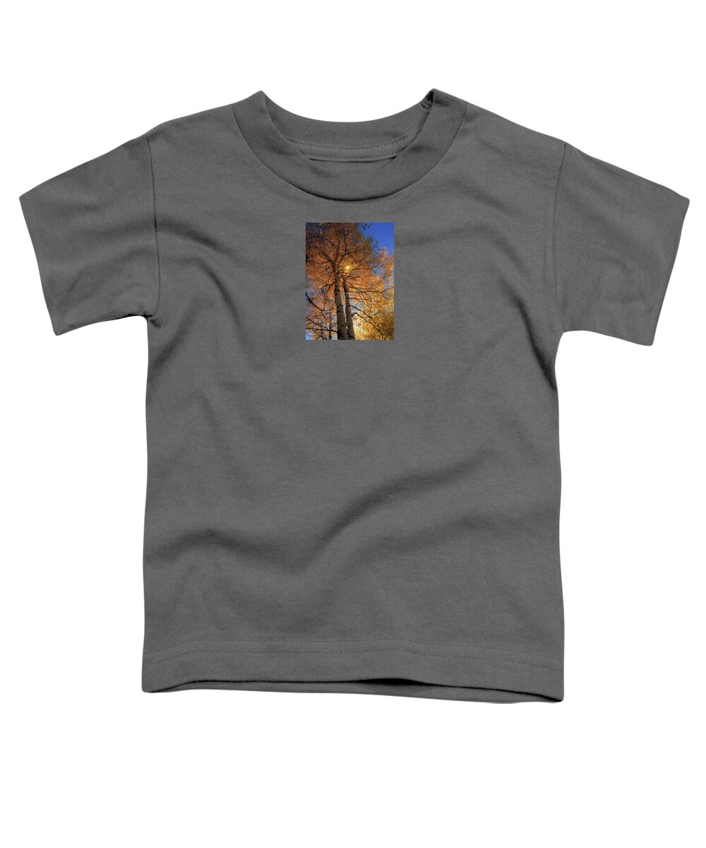 Aspen Toddler T-Shirt featuring the photograph 4331 by Peter Holme III