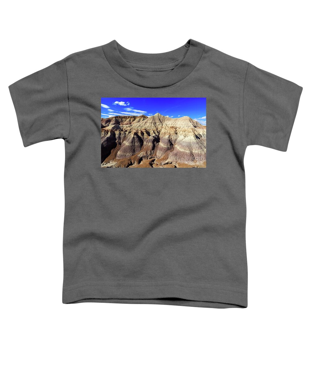 Arizona Toddler T-Shirt featuring the photograph Arizona Petrified Forest #5 by Raul Rodriguez