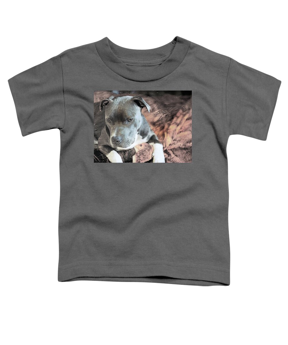  Toddler T-Shirt featuring the photograph Lazy Afternoon #5 by Ang El