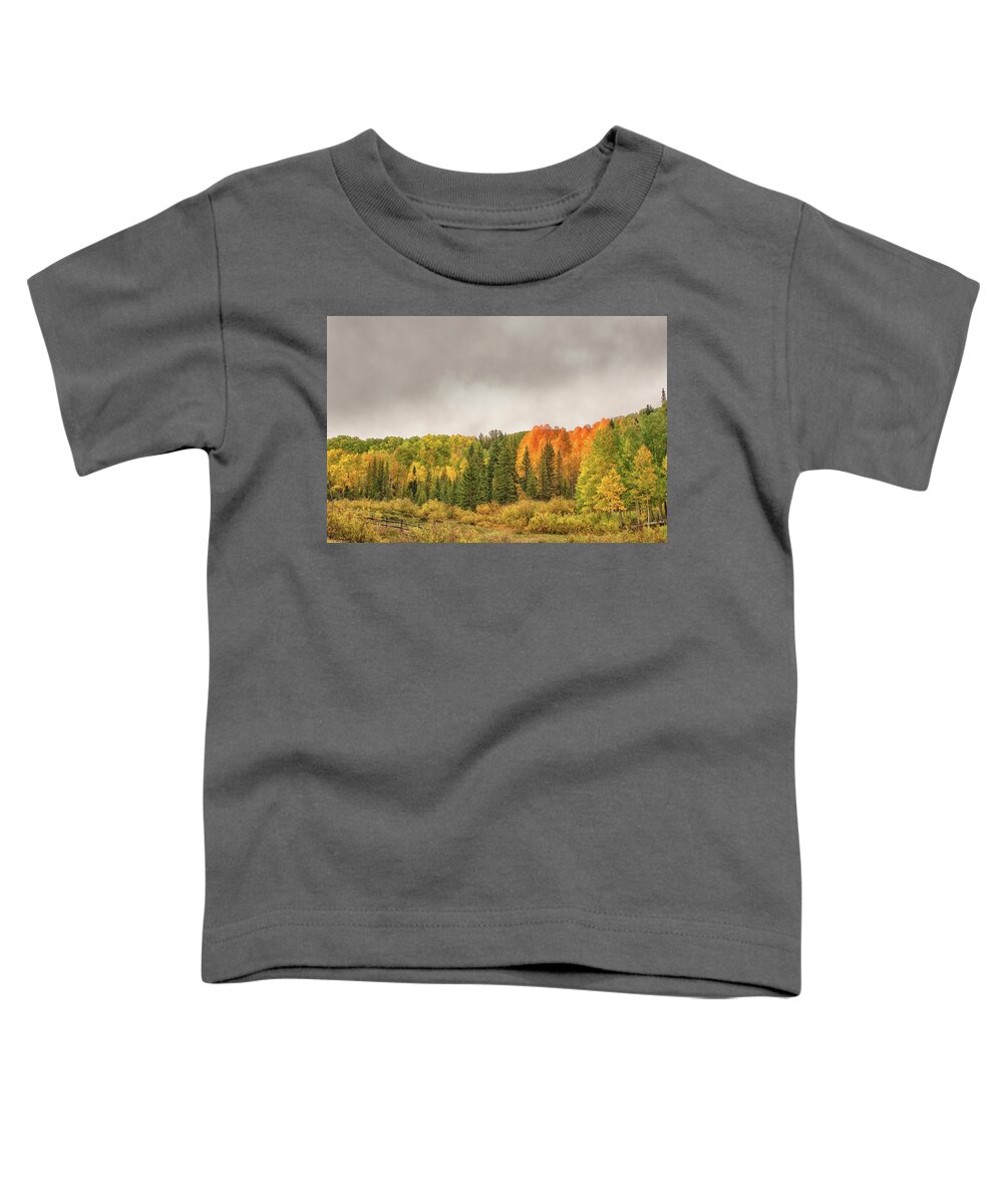 Aspen Trees Toddler T-Shirt featuring the photograph Colorado Fall Foliage 1 by Victor Culpepper