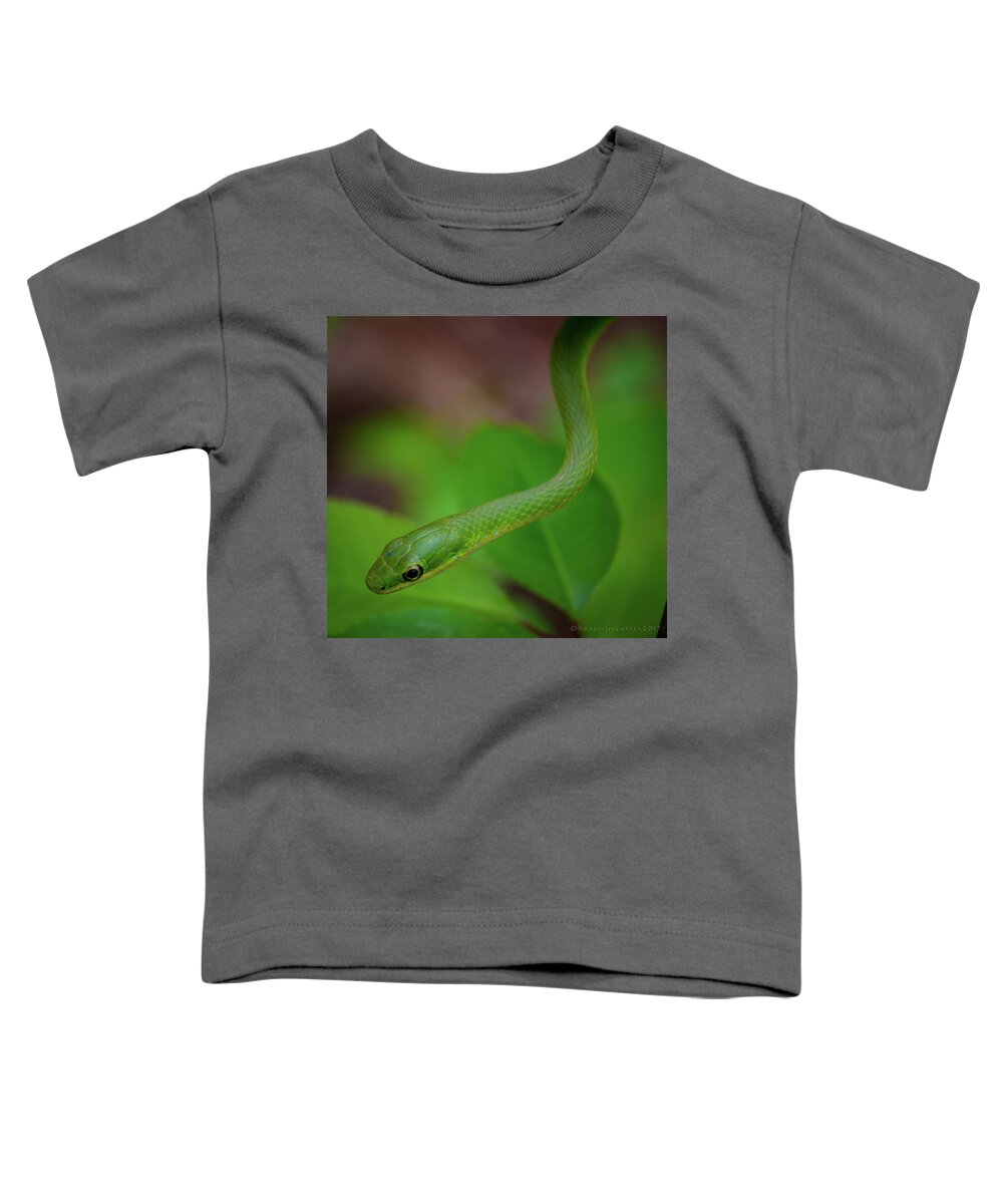 Snake Toddler T-Shirt featuring the photograph Green Snake #6 by Henri Irizarri