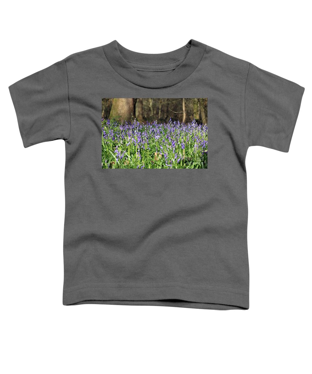 Bluebells At Banstead Wood Surrey Uk Toddler T-Shirt featuring the photograph Bluebells at Banstead Wood Surrey UK #7 by Julia Gavin