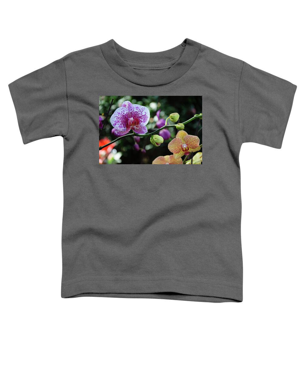 Flower Toddler T-Shirt featuring the photograph Butterfly orchid flowers #9 by Carl Ning