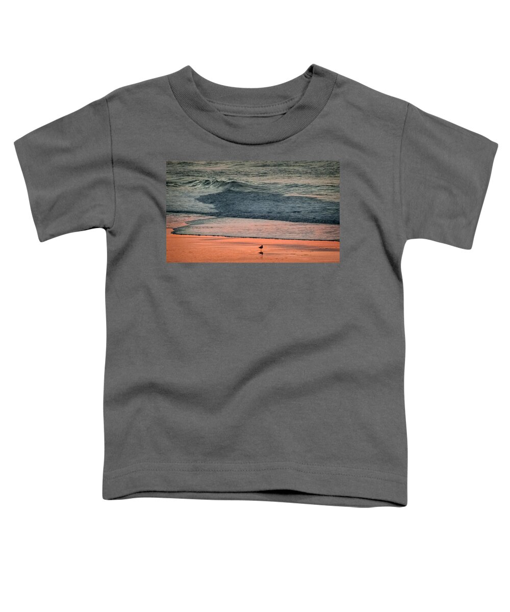 Beaches Toddler T-Shirt featuring the photograph A Bird's Eye View by Karen Wiles