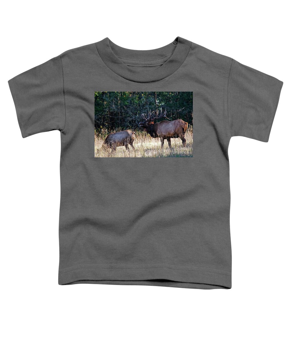 Elk Toddler T-Shirt featuring the photograph A Bugling Bull Elk by Paul Mashburn