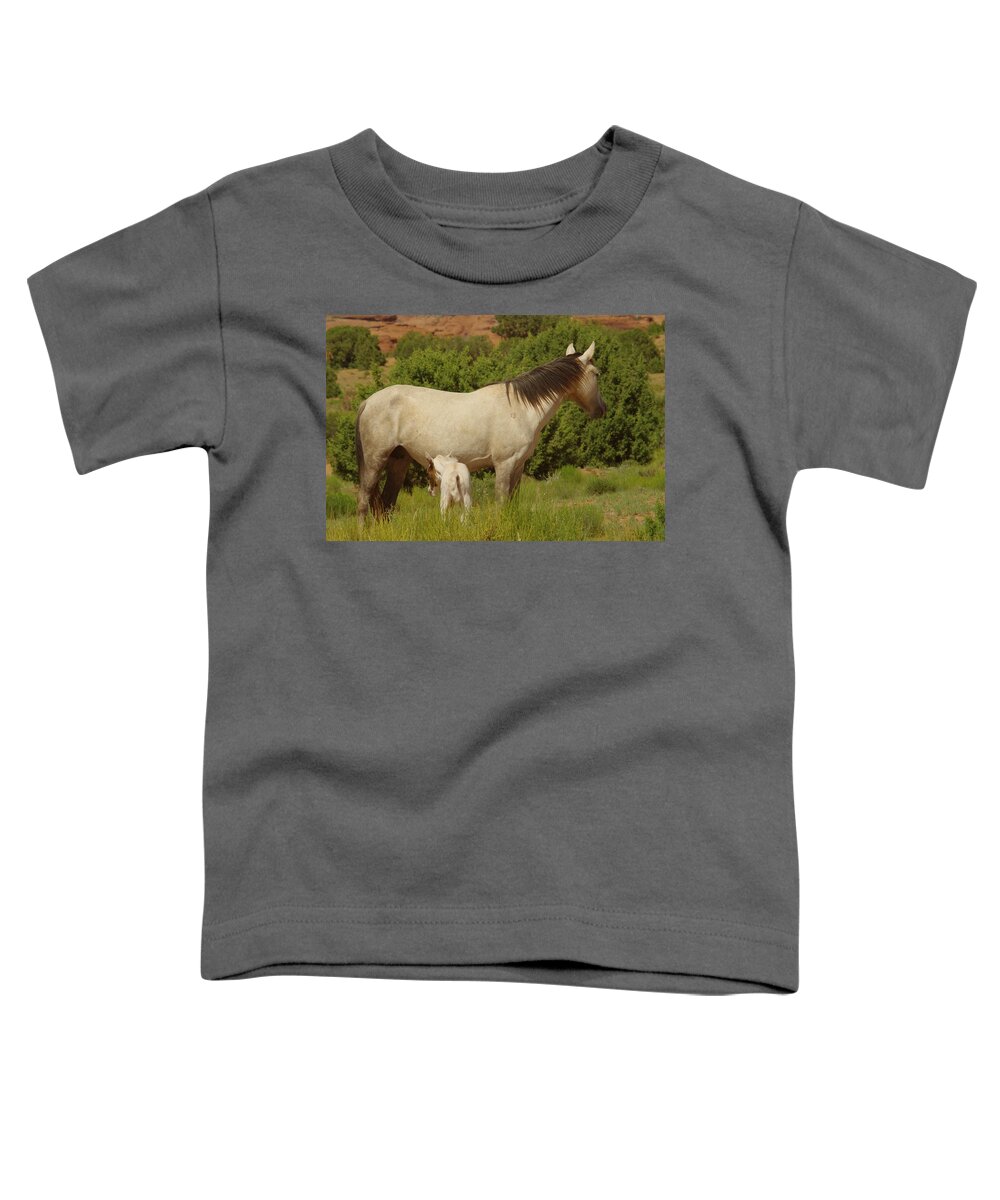 Horses Toddler T-Shirt featuring the photograph A colt and mare by Jeff Swan
