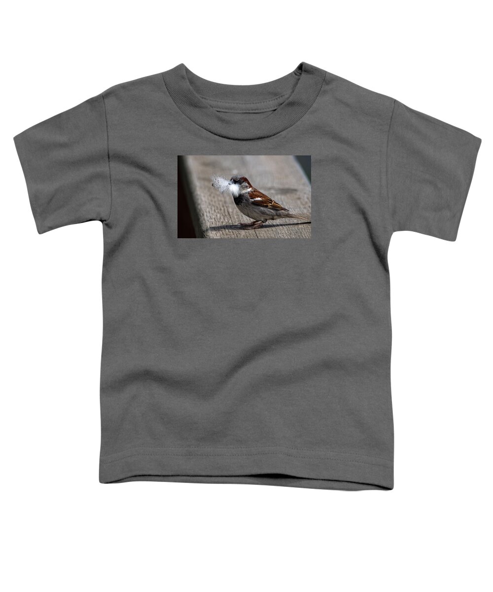 Sparrow Toddler T-Shirt featuring the photograph A Feather for the Nest by Gary Karlsen