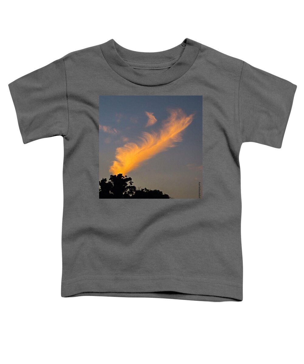 Beautiful Toddler T-Shirt featuring the photograph A Giant #beautiful #cloud #feather In by Austin Tuxedo Cat