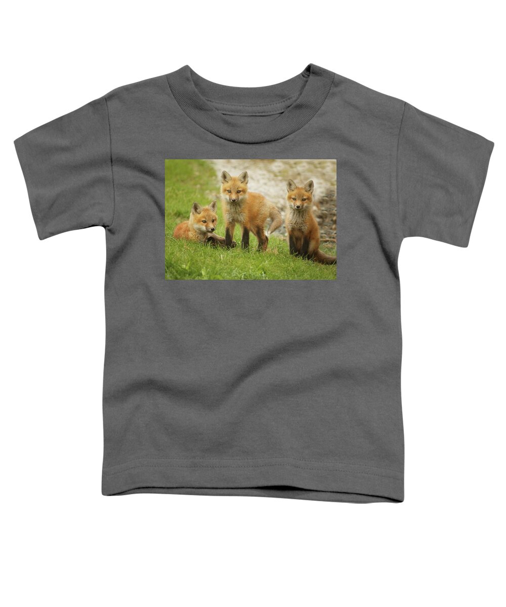 Fox Toddler T-Shirt featuring the photograph A Group Photo by Duane Cross