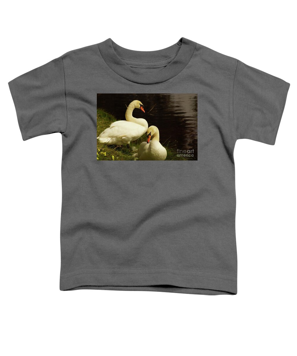 Mute Swan Toddler T-Shirt featuring the photograph A Handsome Pair by Cassandra Buckley
