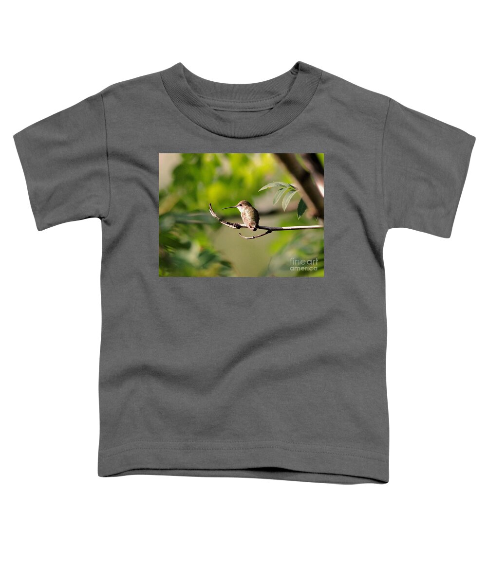 Bird Toddler T-Shirt featuring the photograph A hummer perched by Jeff Swan