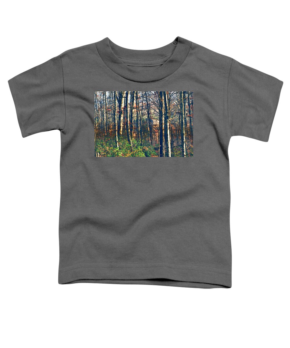 Nature Toddler T-Shirt featuring the photograph A late Autumn Walk in the Woods by Stacie Siemsen