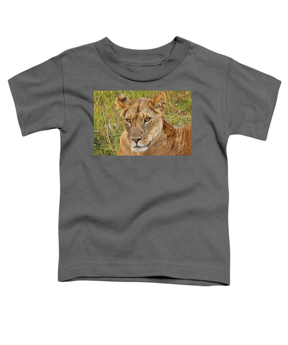 Africa Toddler T-Shirt featuring the photograph A Lioness in Kenya by Mitchell R Grosky