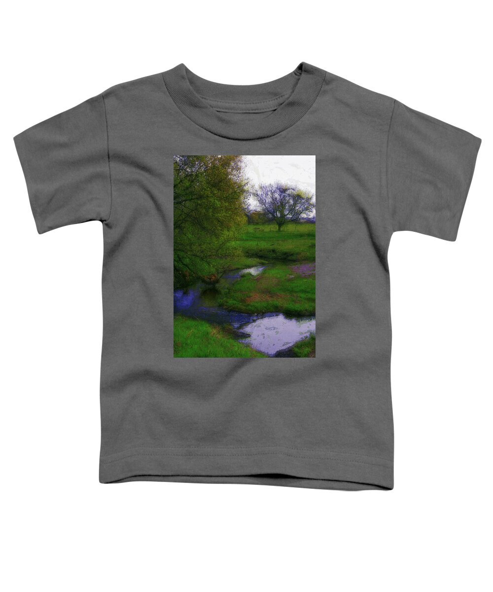 Landscape Toddler T-Shirt featuring the photograph A Lovers Picnic by Julie Lueders 