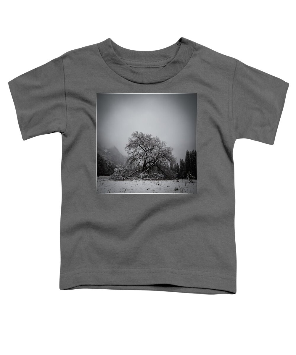 Tree Toddler T-Shirt featuring the photograph A magic tree by Lora Lee Chapman