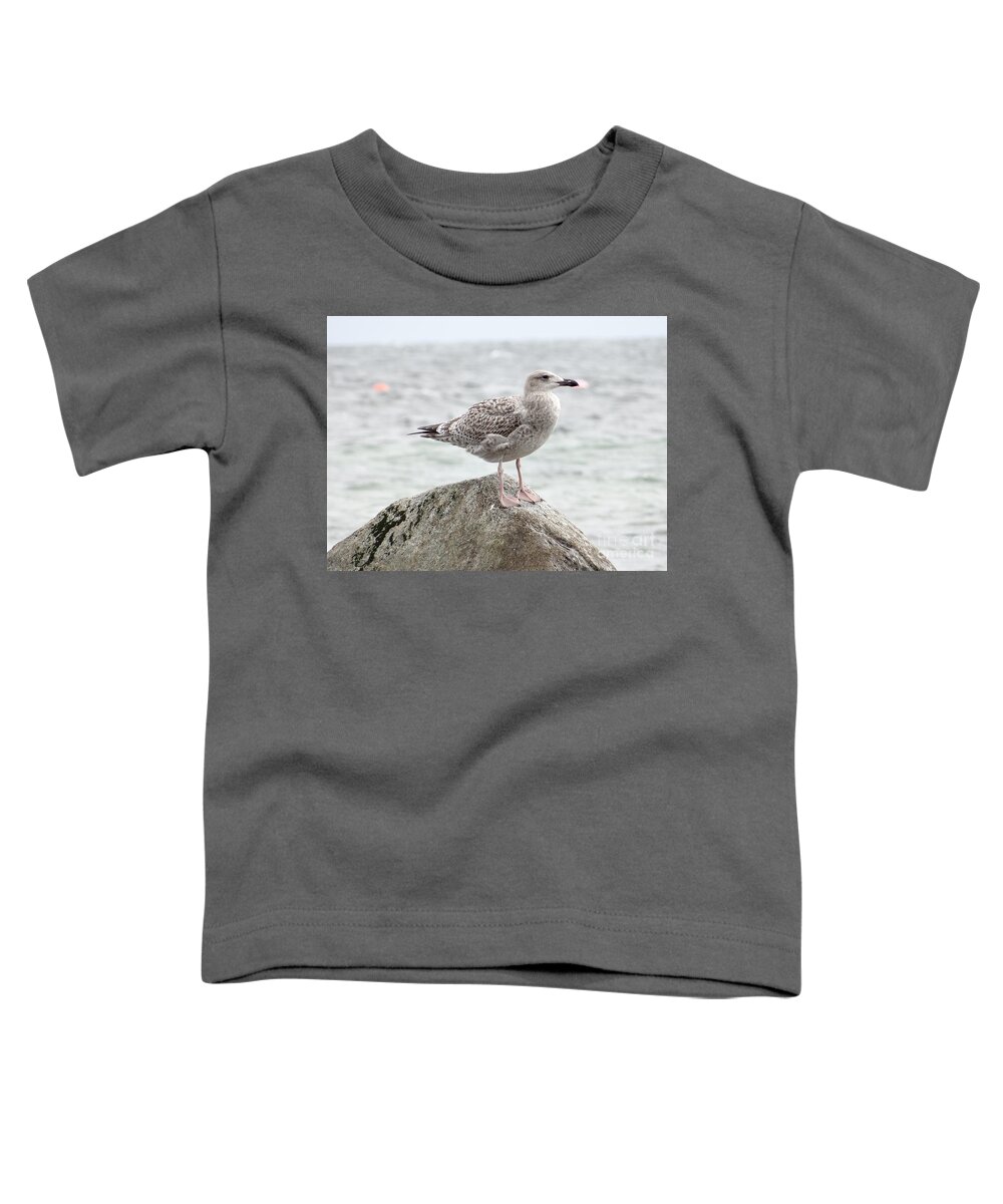 Gull Toddler T-Shirt featuring the photograph A moment of rest by Karin Ravasio
