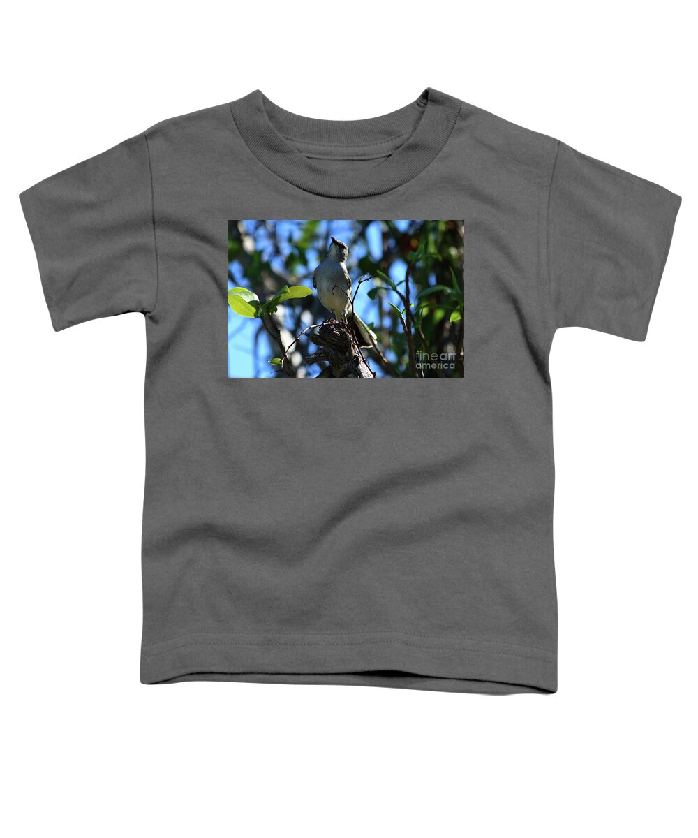  Bird Toddler T-Shirt featuring the photograph A Northern Mockingbird by Christiane Schulze Art And Photography