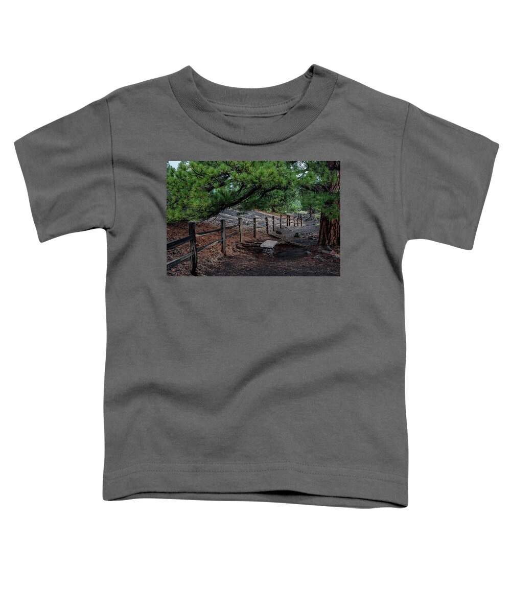 Monument Toddler T-Shirt featuring the photograph A Plac to Contemplate by Dennis Swena