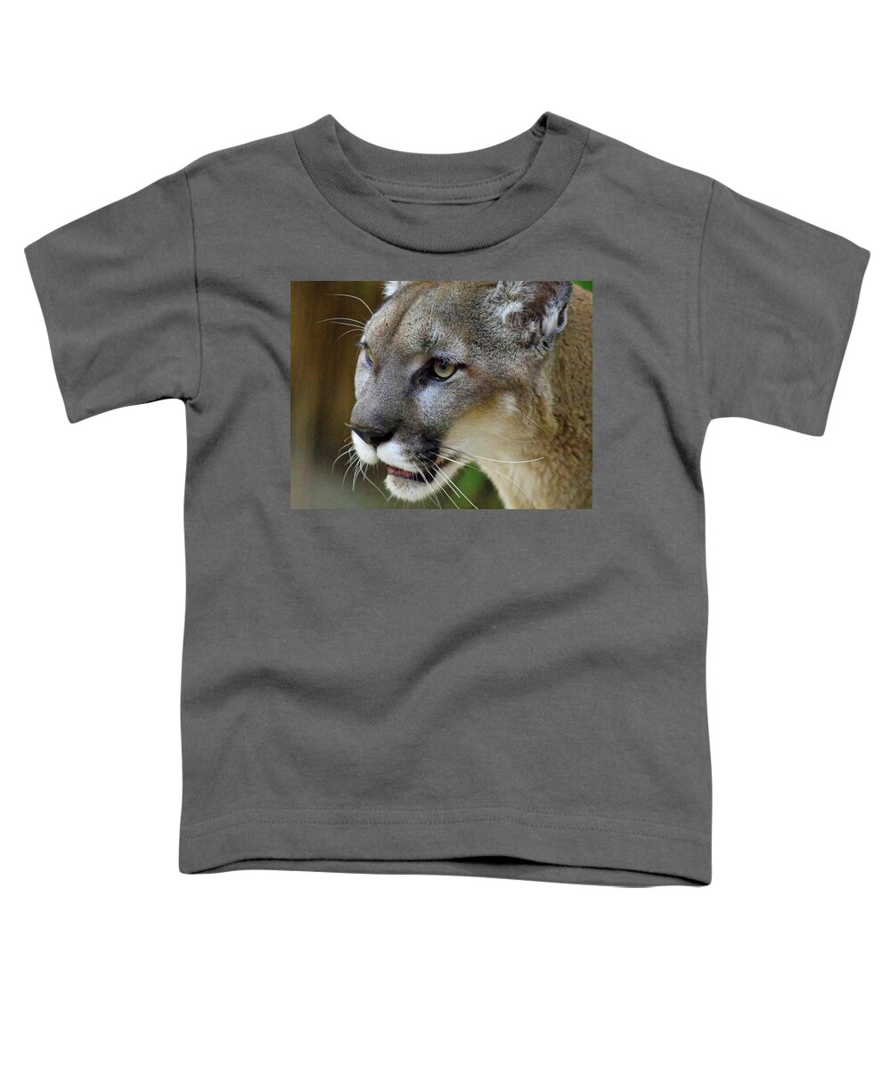 A Puma By Any Other Name Toddler T-Shirt featuring the photograph A Puma By Any Other Name -- Mountain Lion at Living Desert Zoo and Gardens, Palm Desert, California by Darin Volpe