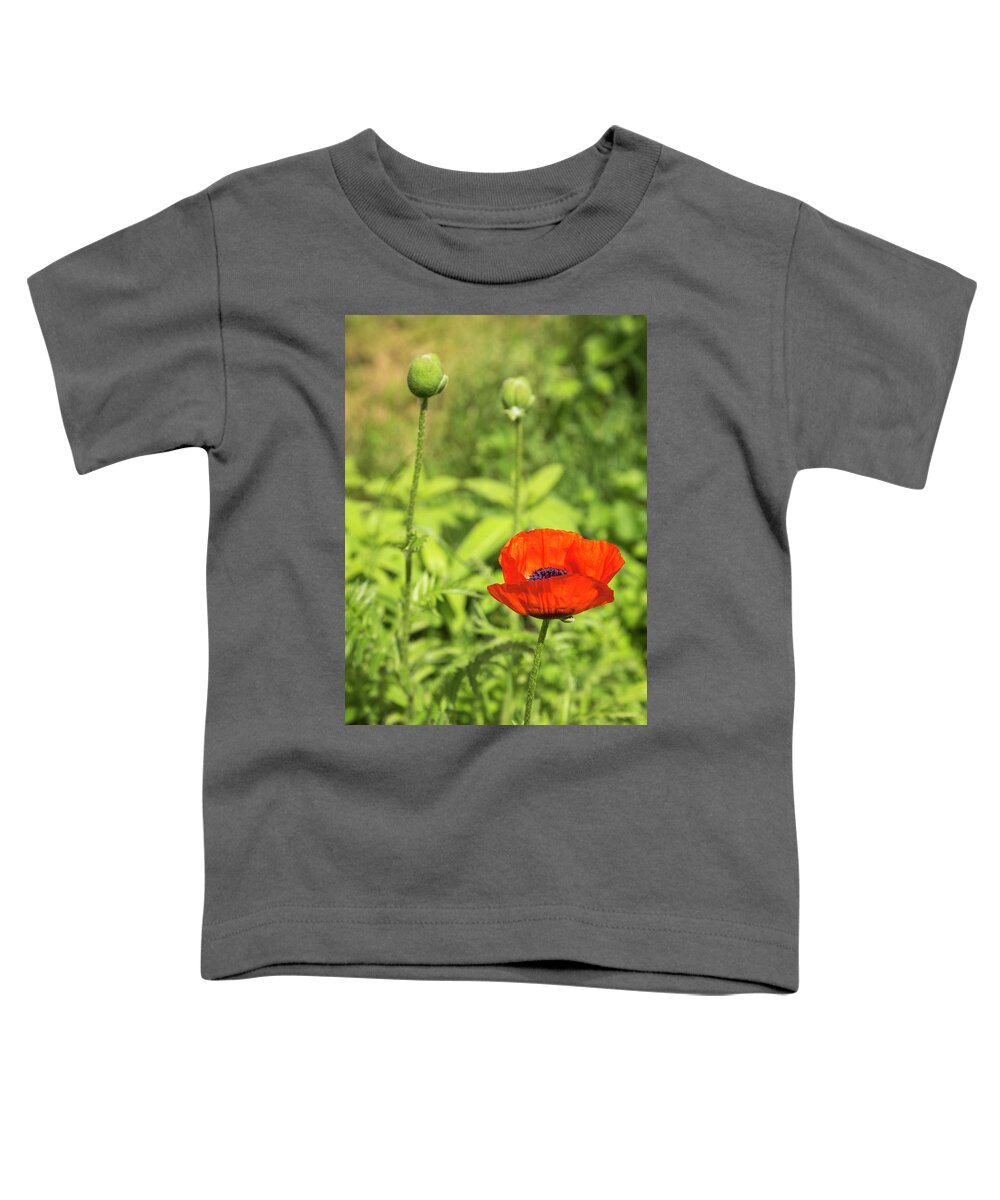 Single Toddler T-Shirt featuring the photograph A Single Poppy Flower 2016 by Thomas Young