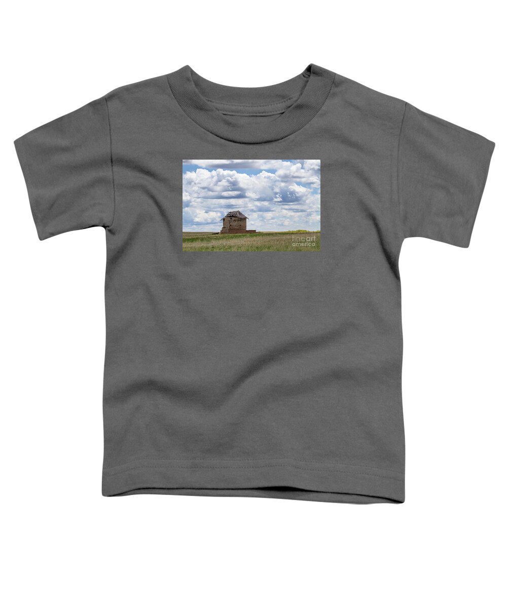 Colorado Plains Toddler T-Shirt featuring the photograph A Solitary Existance by Jim Garrison