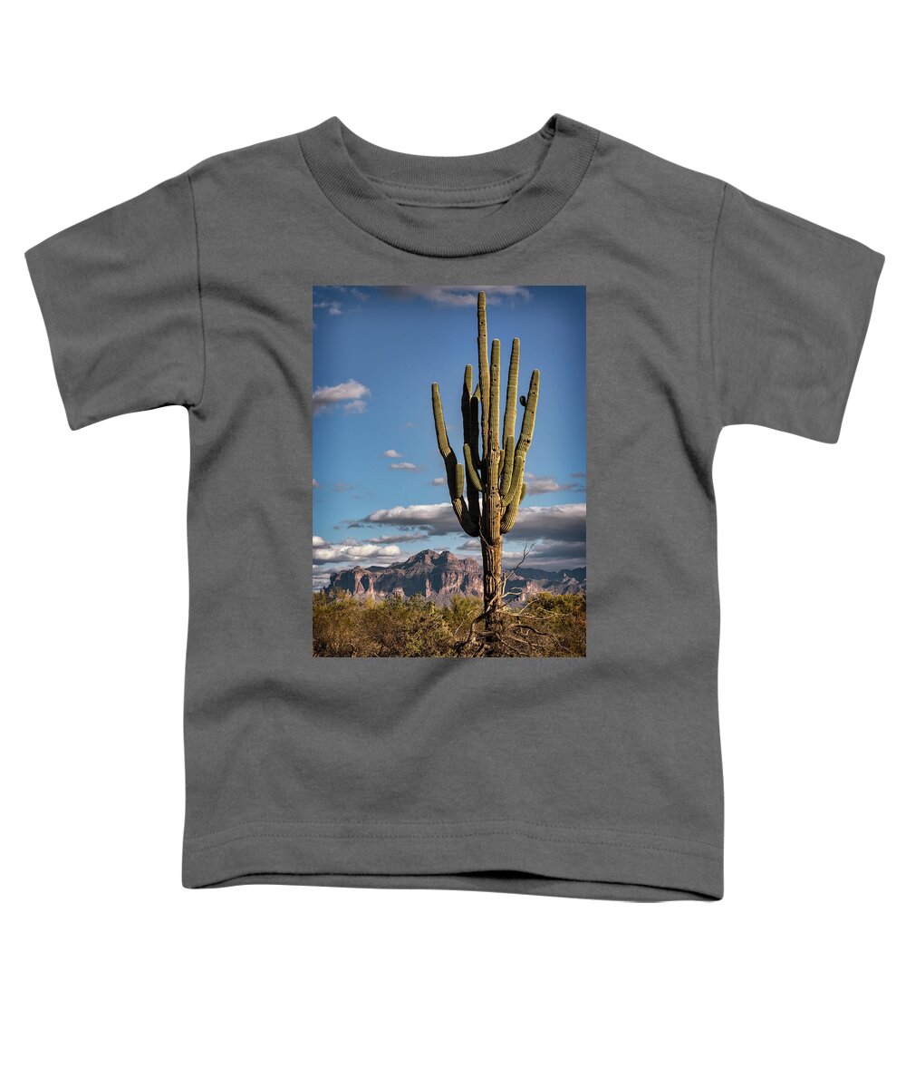 Saguaro Cactus Toddler T-Shirt featuring the photograph A Southwest Winter Day by Saija Lehtonen