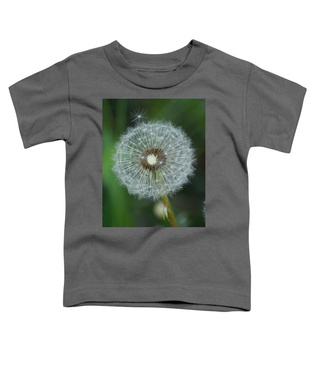 Flowers Toddler T-Shirt featuring the photograph A Star Leaves Home by Ben Upham III