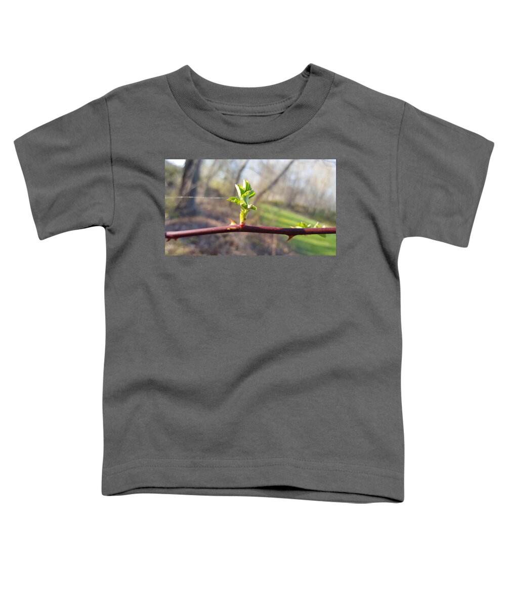 Plant Toddler T-Shirt featuring the photograph A Thread and a Thorn by Dani McEvoy