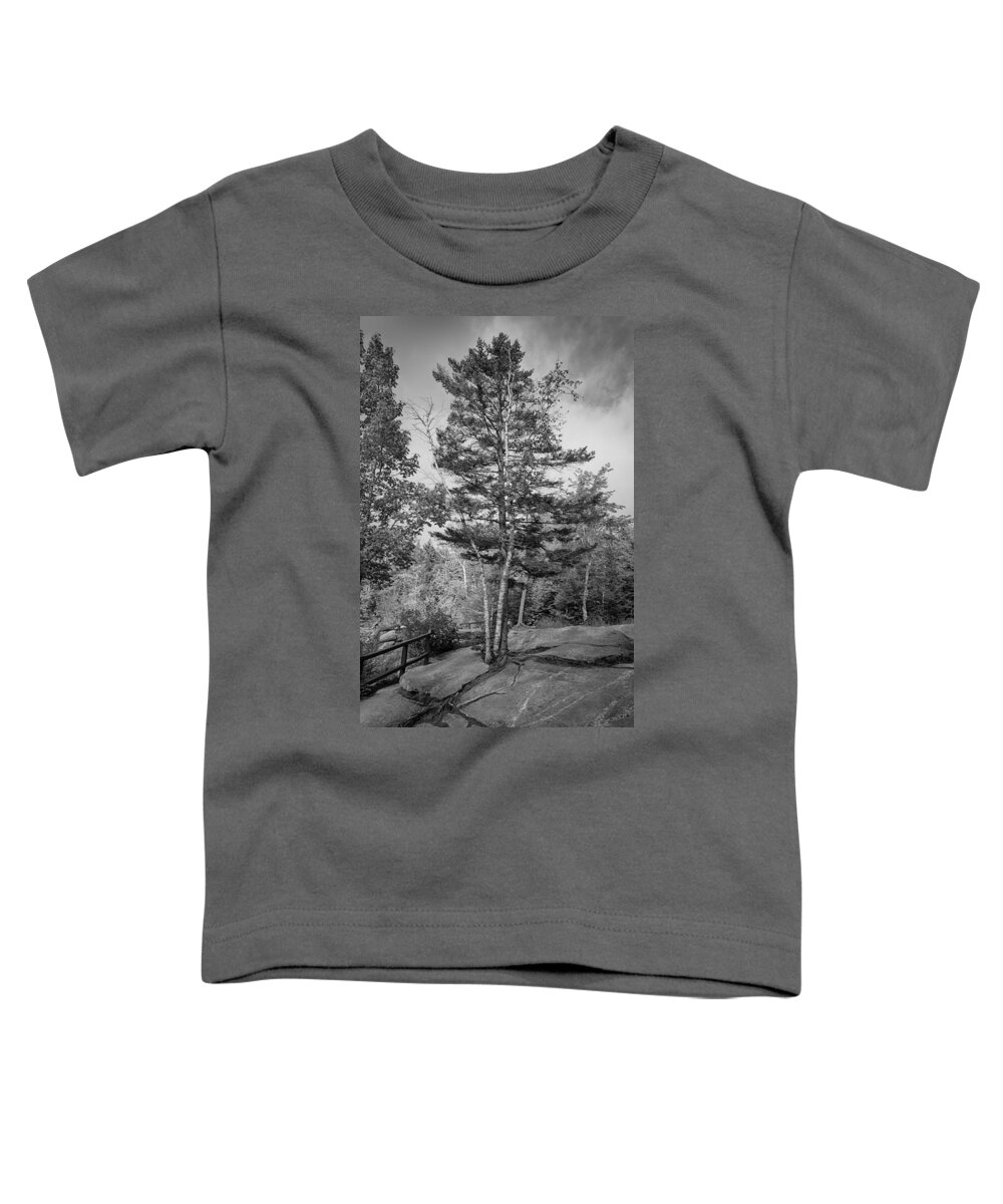 Grafton Notch Toddler T-Shirt featuring the photograph A Tree in the Rocks by Guy Whiteley