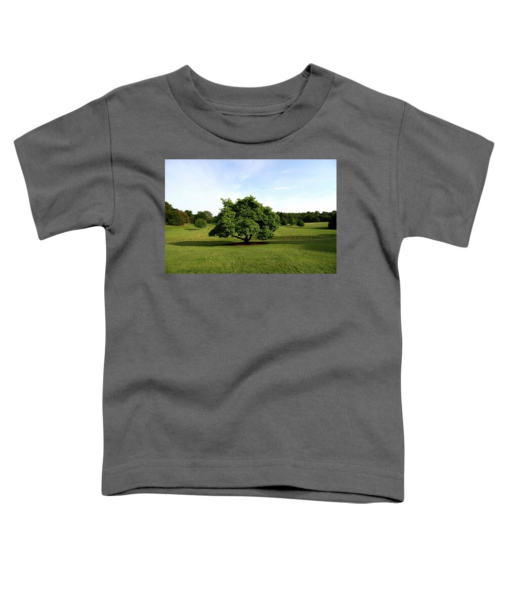 Kenwood House Toddler T-Shirt featuring the photograph A View From Kenwood House by Aidan Moran