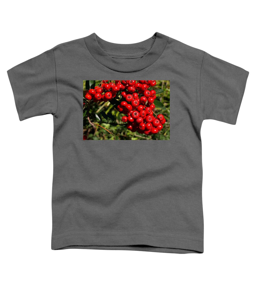 Red Toddler T-Shirt featuring the photograph aBunDance by Steven Robiner