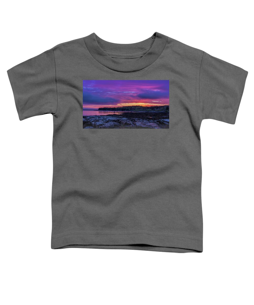 Mount Desert Island Toddler T-Shirt featuring the photograph Acadian Nights by Holly Ross