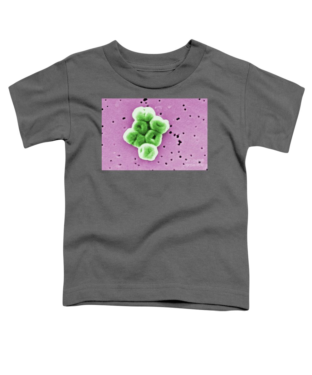 Acinetobacter Baumannii Toddler T-Shirt featuring the photograph Acinetobacter Baumannii, Sem by Science Source