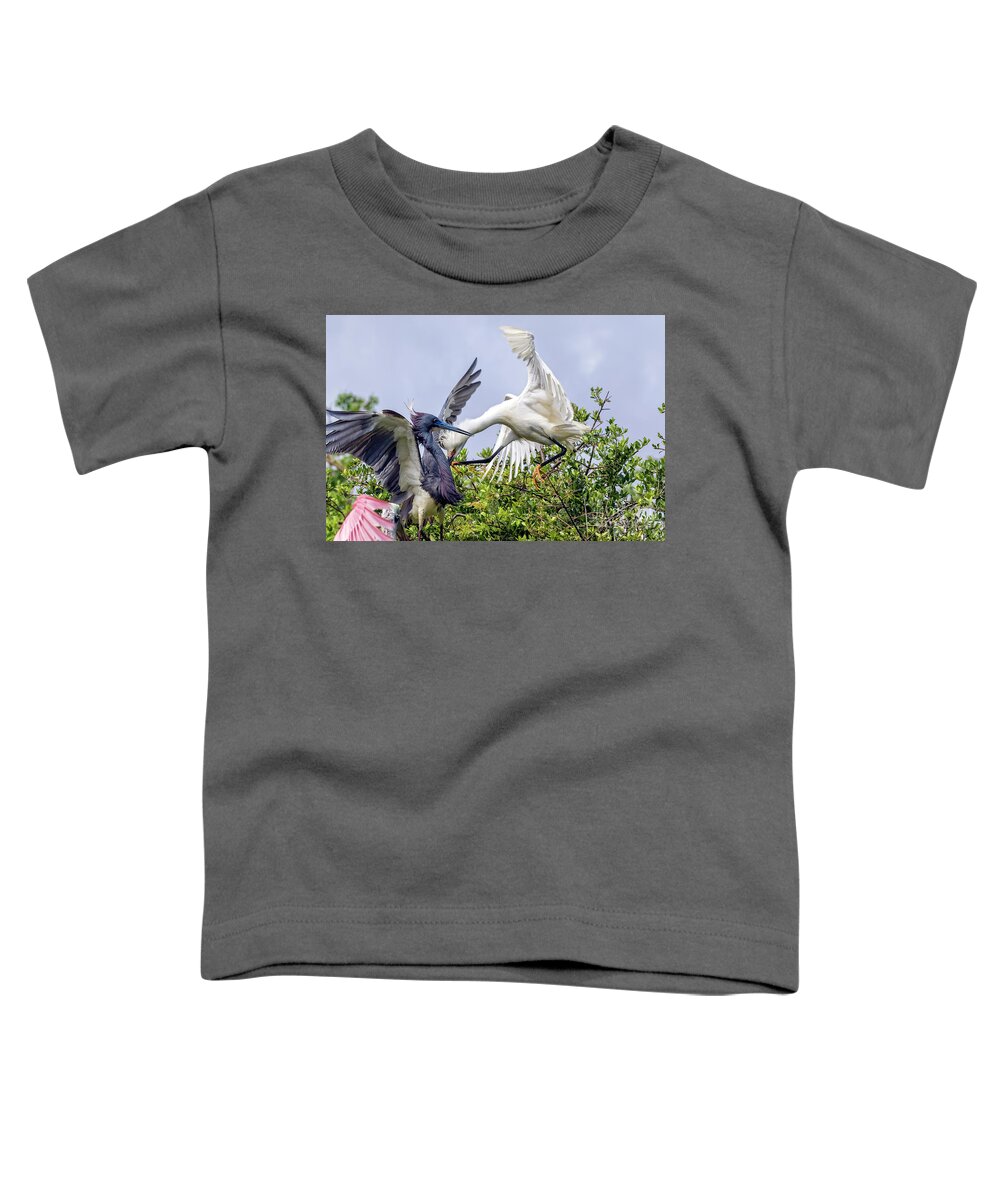 Egrets Toddler T-Shirt featuring the photograph Aerial Battle Between Tricolored Heron and Snowy Egret by DB Hayes