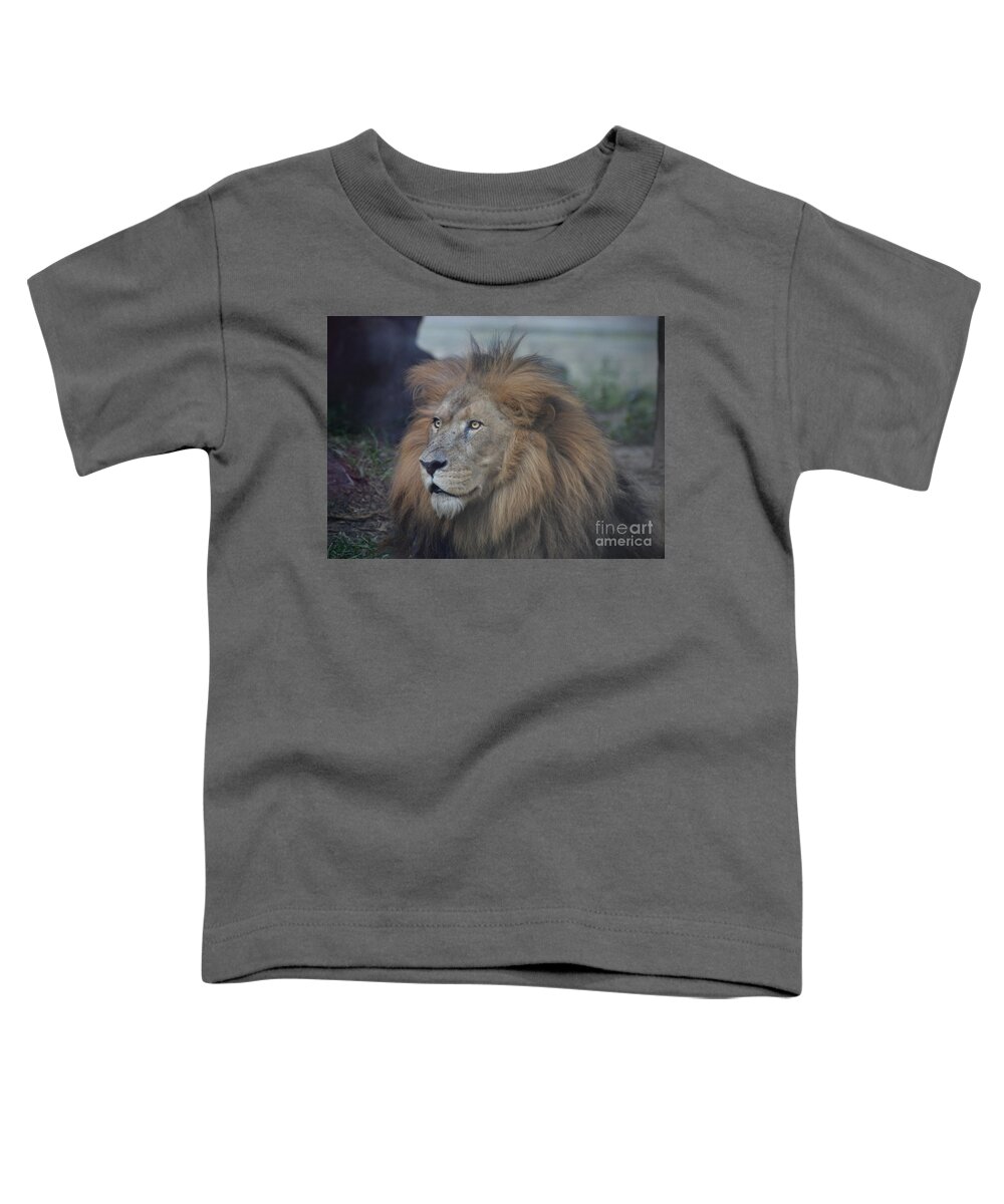 Lion Toddler T-Shirt featuring the photograph African Lion by Savannah Gibbs