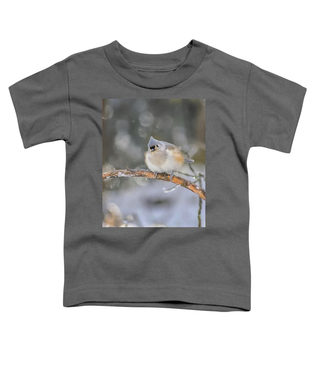 Ice Toddler T-Shirt featuring the photograph After the Ice Storm by Holly Ross