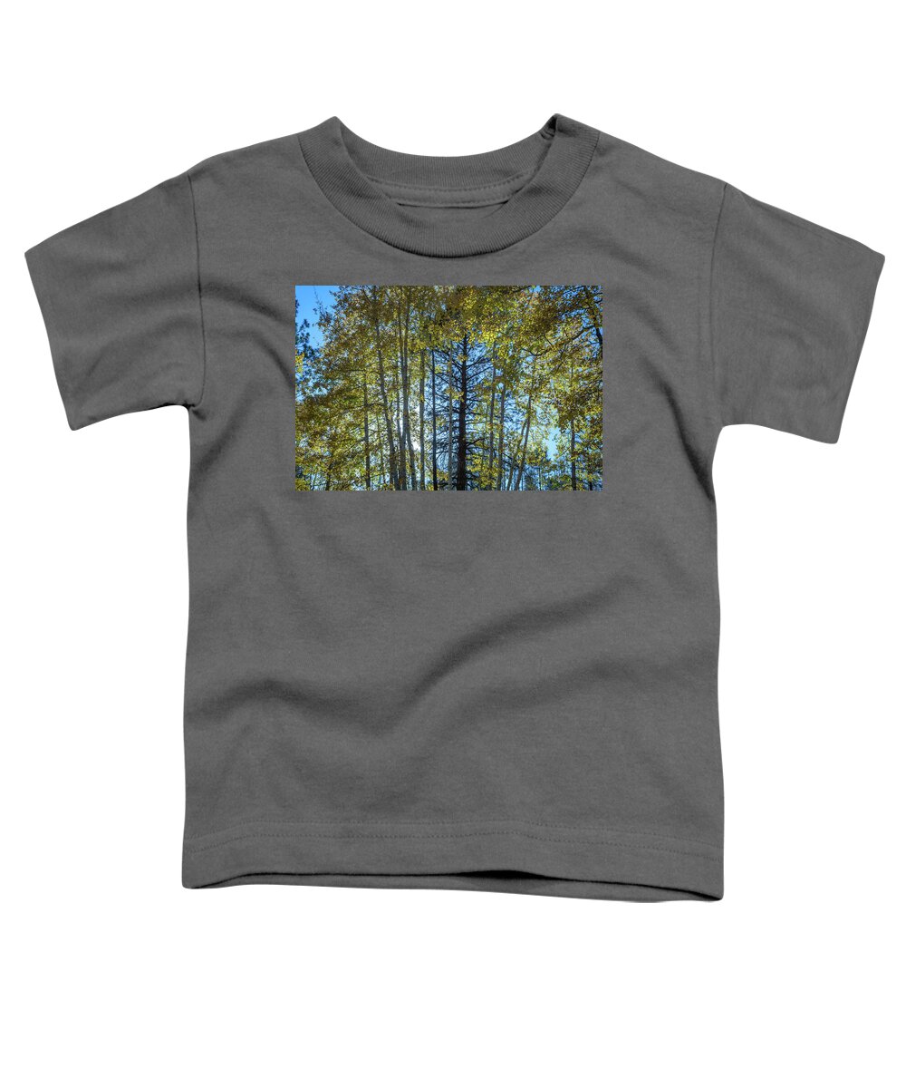 Autumn Toddler T-Shirt featuring the photograph Afternoon Aspen by Dennis Swena