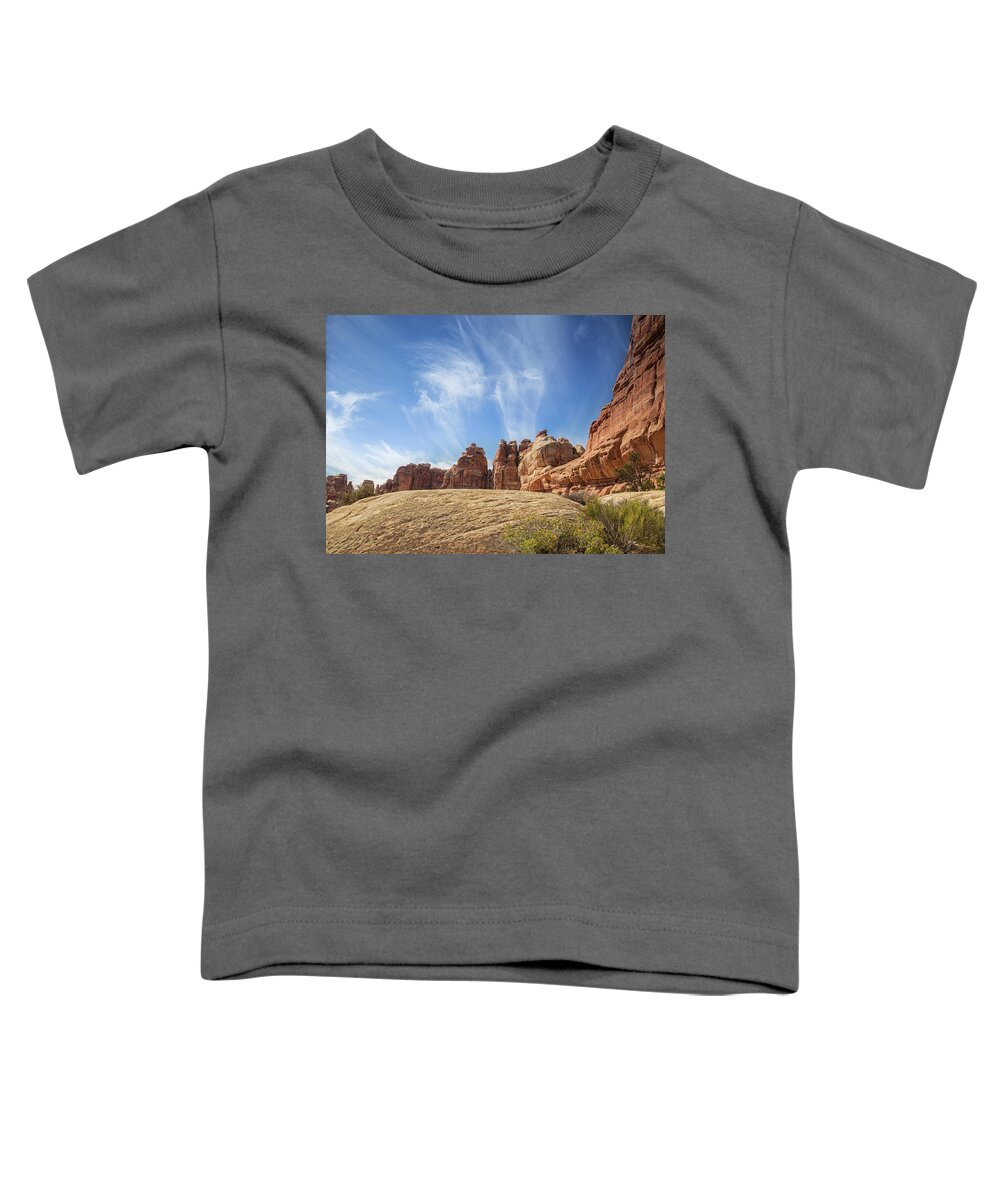 Chesler Park Toddler T-Shirt featuring the photograph Afternoon at Chesler Park by Kunal Mehra
