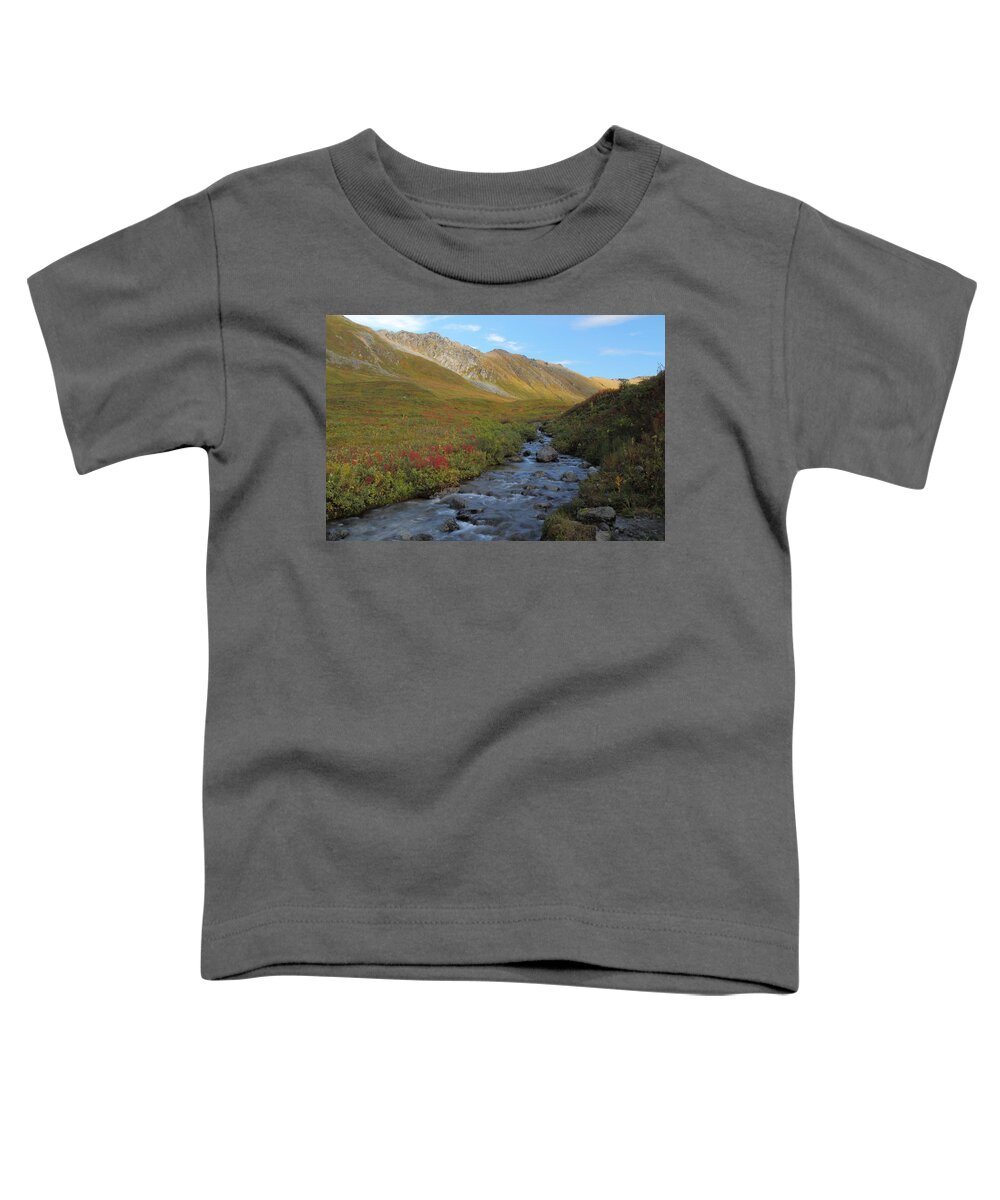 Alaska Toddler T-Shirt featuring the photograph Alaska Fireweed and Willow Creek Along Hatcher Pass Road by Steve Wolfe