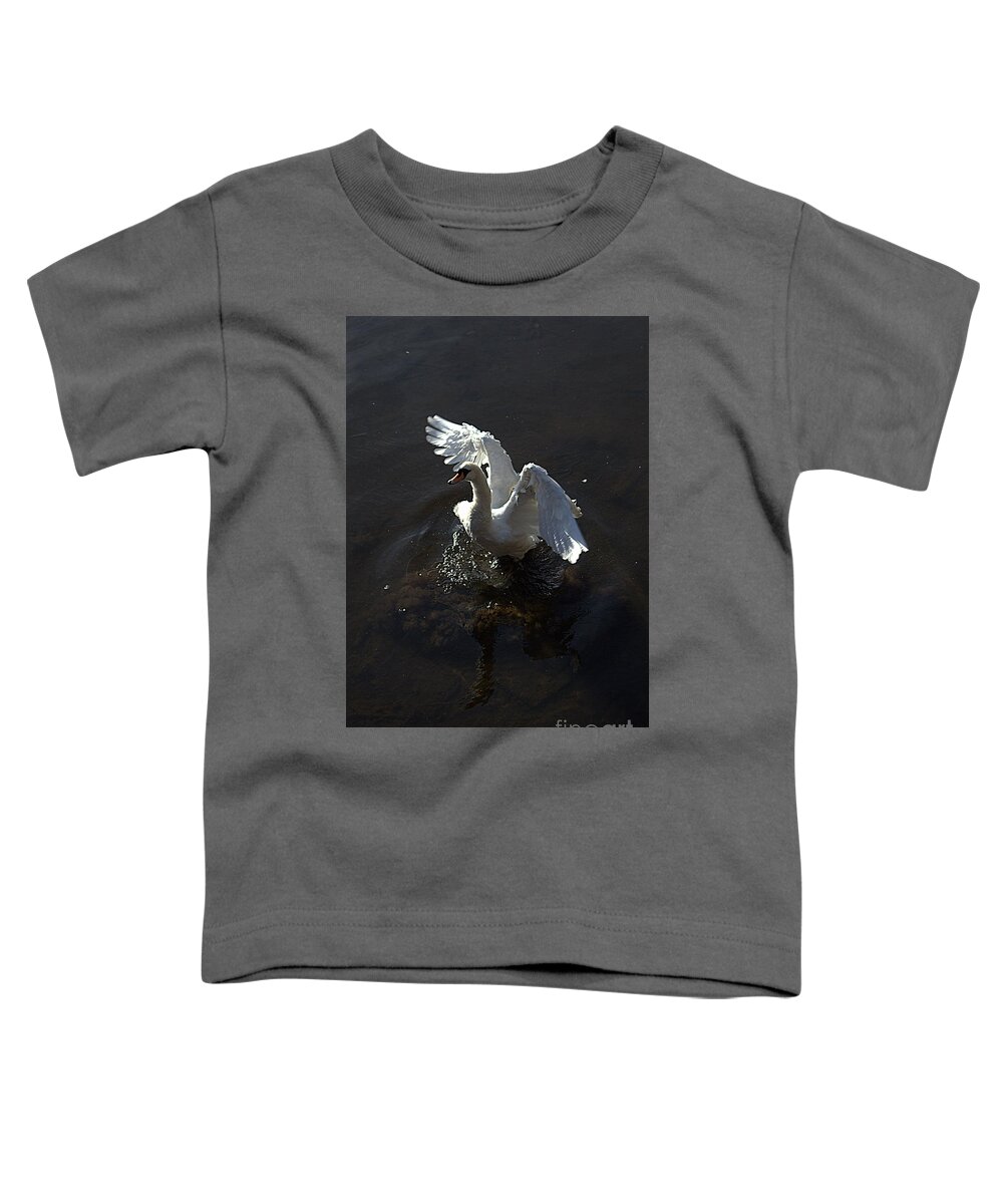 Swan Toddler T-Shirt featuring the photograph All of a flap by Andy Thompson