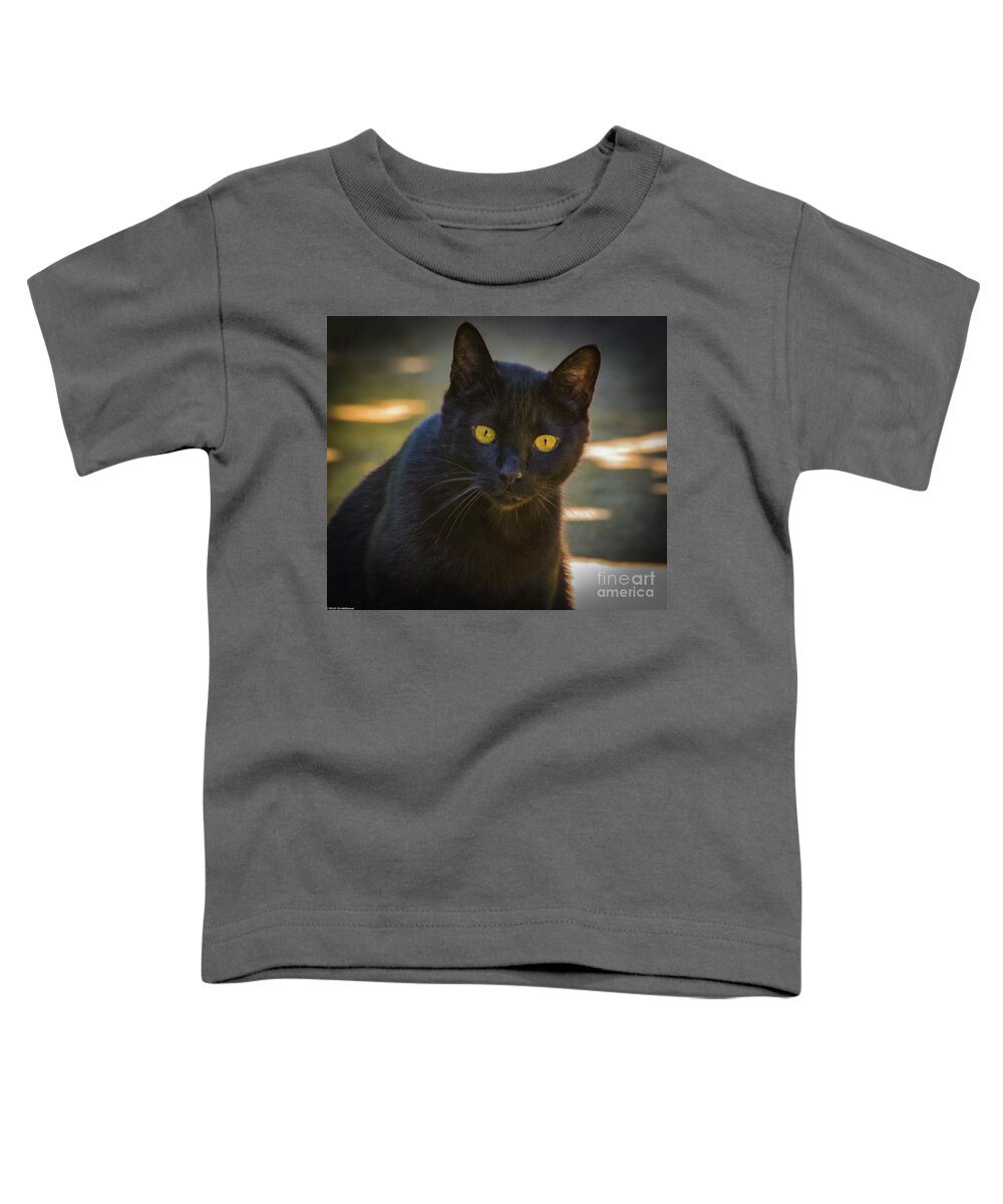 Alley Cat Toddler T-Shirt featuring the photograph Alley Cat by Mitch Shindelbower