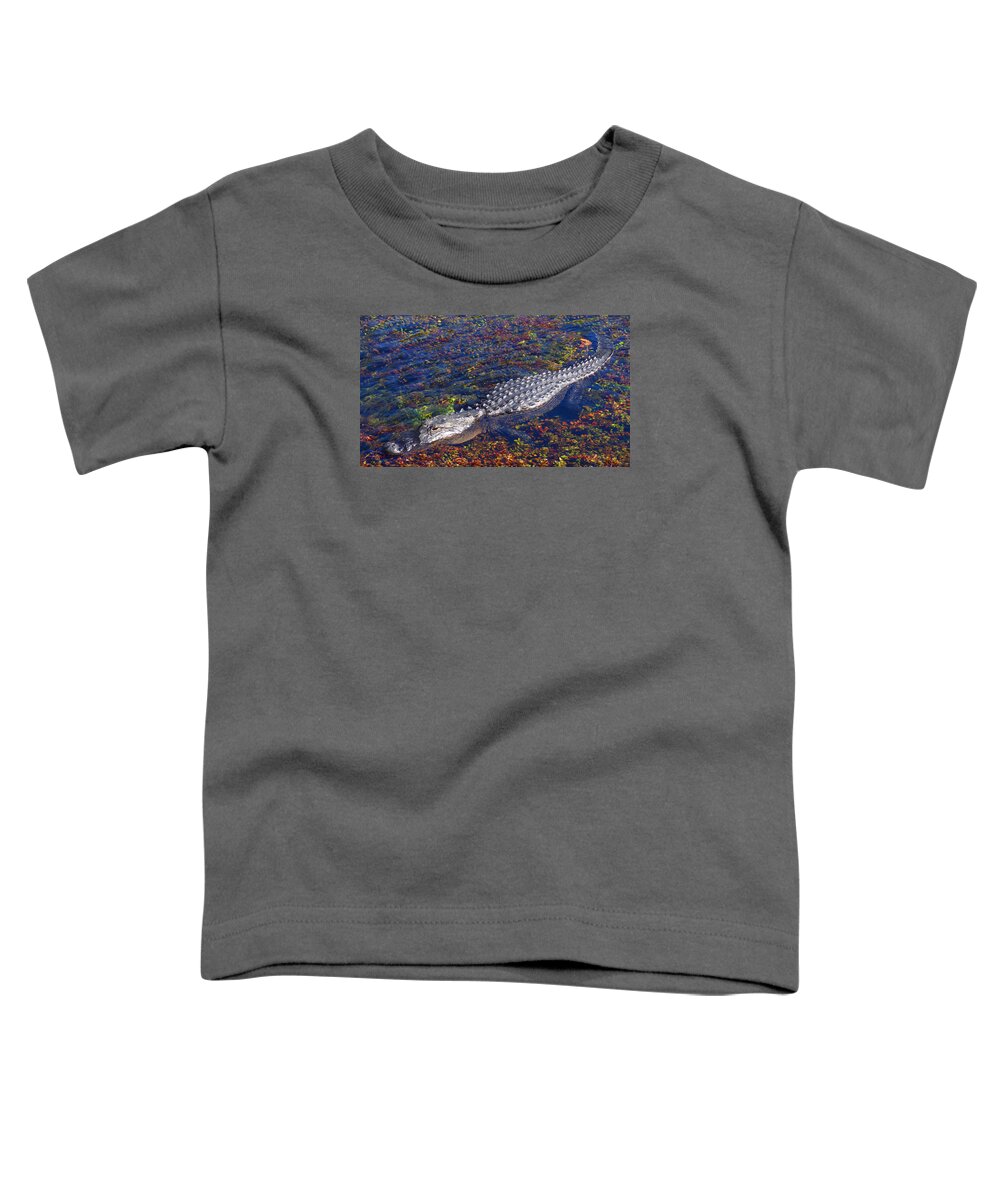 Alligator Toddler T-Shirt featuring the photograph Alligator at Rest by Lawrence S Richardson Jr