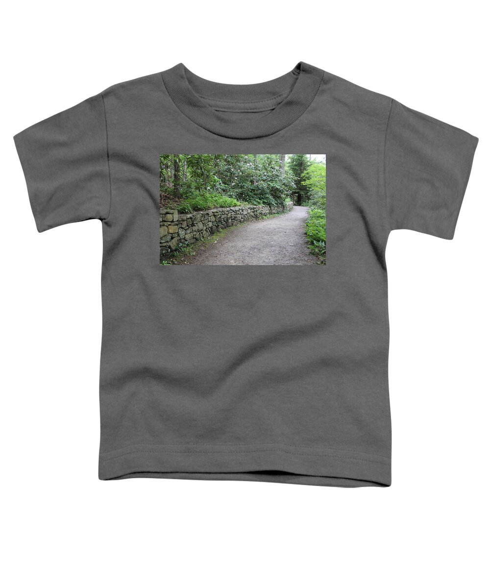 Path Toddler T-Shirt featuring the photograph Along the Way by Allen Nice-Webb