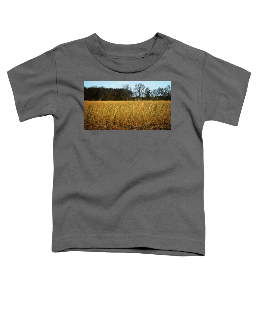 Grain Toddler T-Shirt featuring the photograph Amber Waves of Grain by George Taylor