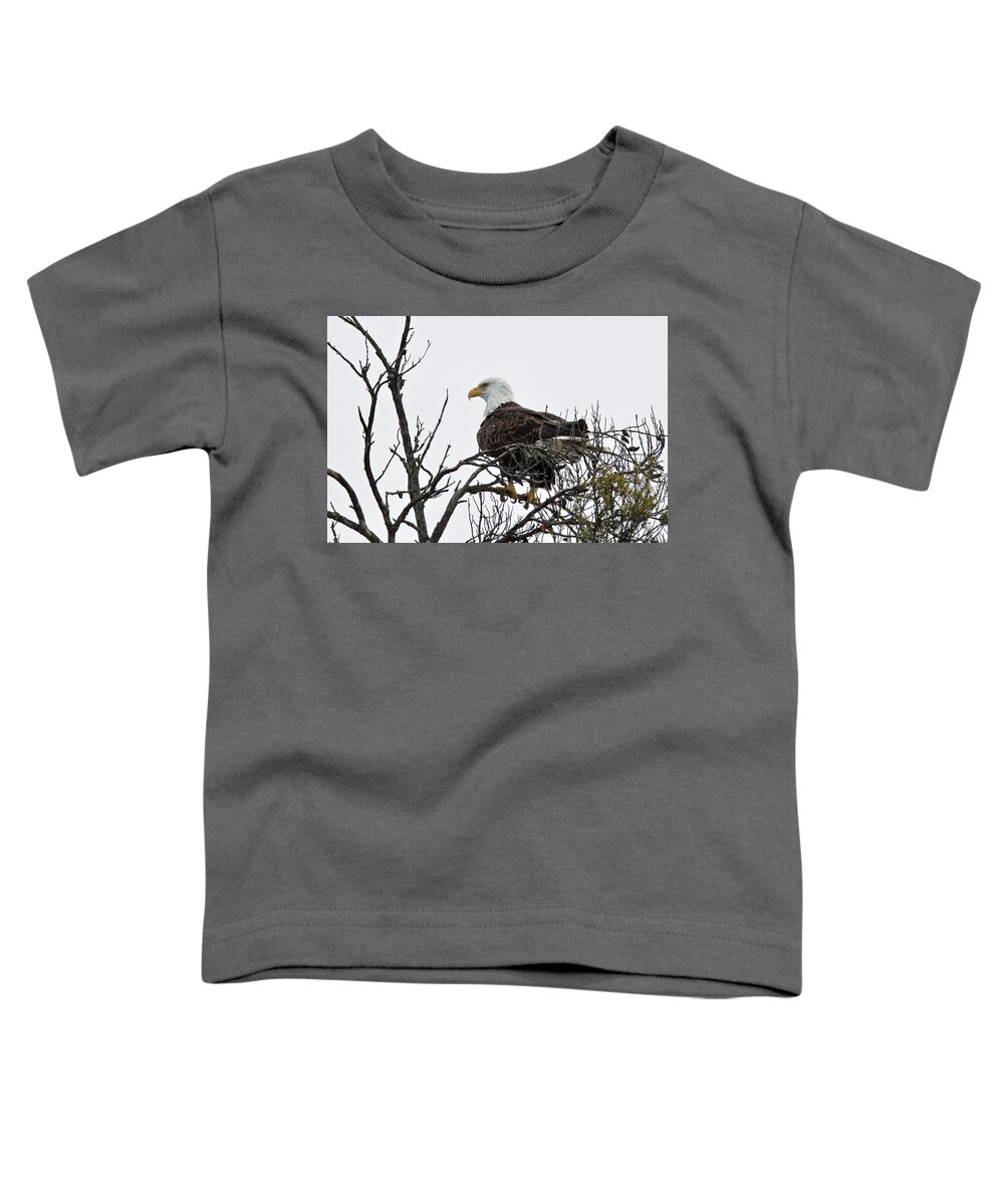 Nature Toddler T-Shirt featuring the photograph American Bald Eagle 5494 by Michael Peychich
